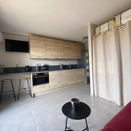公寓 Renove Centre Lavandou Avec Terrasse - Fr-1-816-10 *