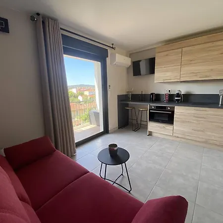 公寓 Renove Centre Lavandou Avec Terrasse - Fr-1-816-10 勒拉旺杜